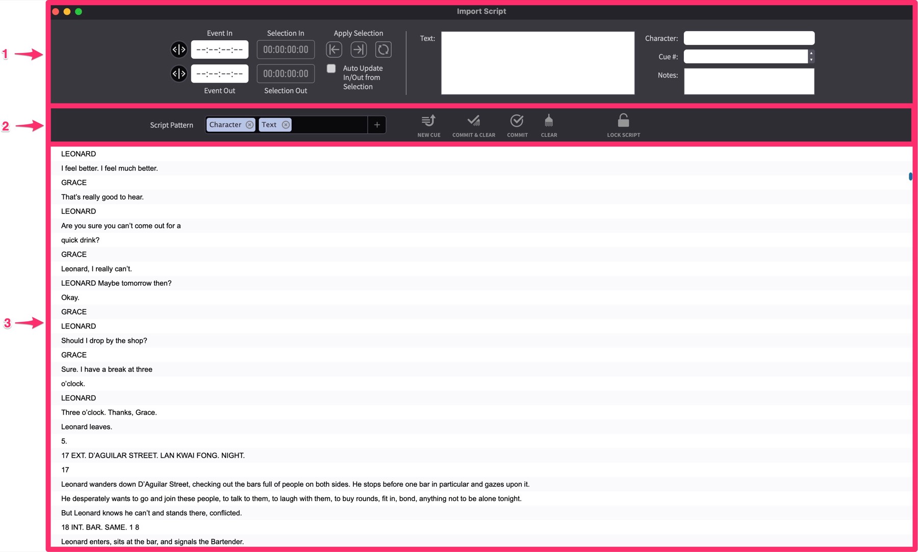 Import Shooting Script Window sections