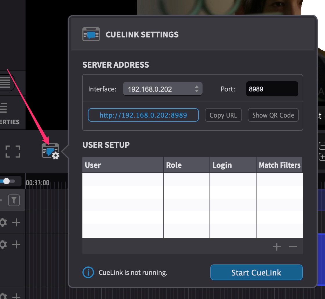 CueLink Button & CUELINK - SETTINGS panel in ADR Master