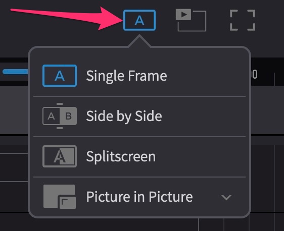 Single/Dual Frame Playback Mode Selector