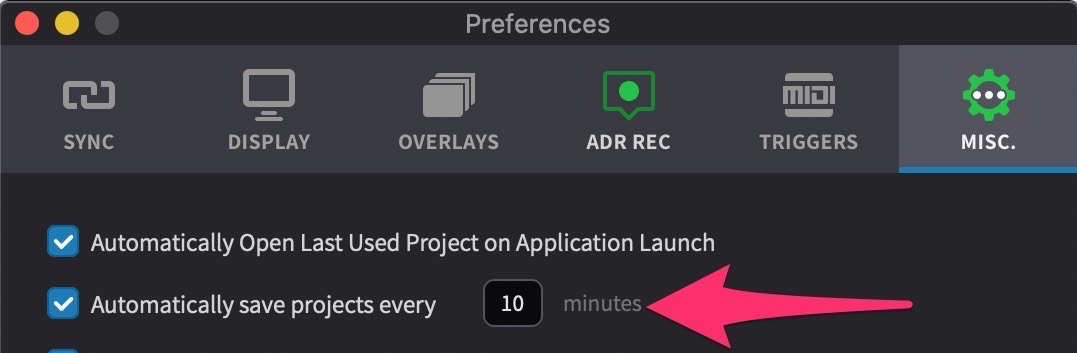 Automatically Save Projects Preference Setting