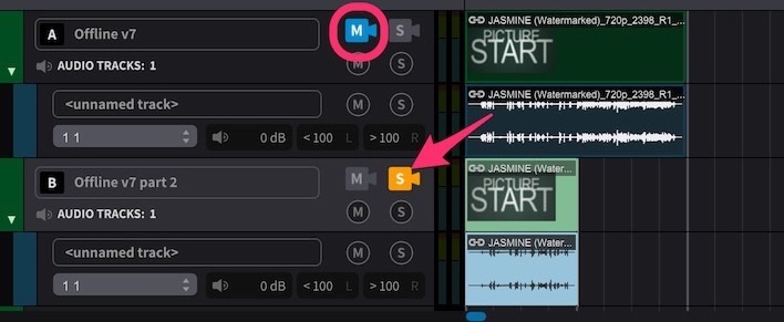Video Track Solo Button