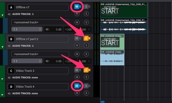 Video Track Solo on multiple tracks