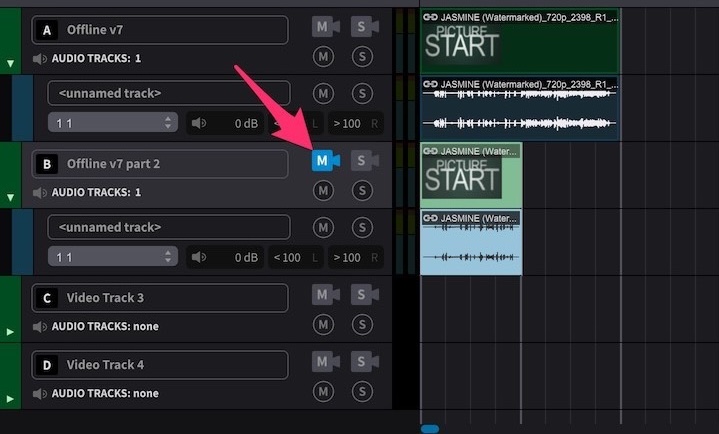 Video Track Mute Button