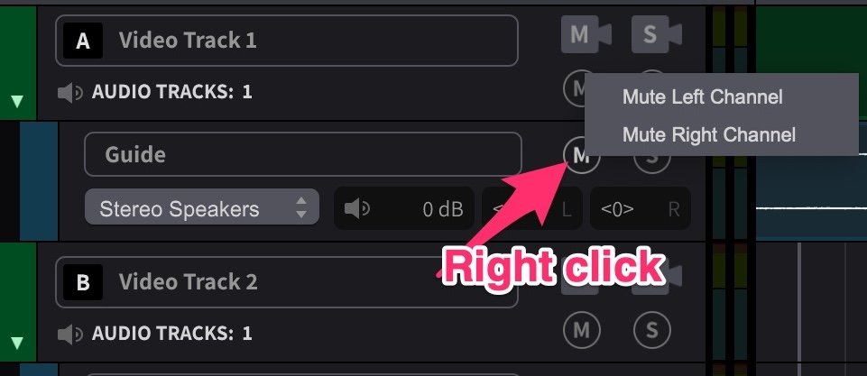 Individual Channel Muting on stereo tracks