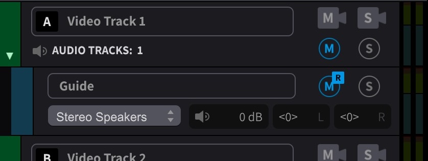 Stereo Track with right channel muted