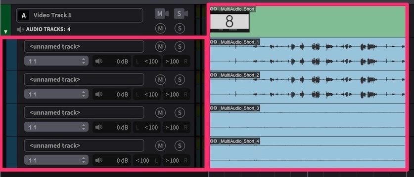 Video File with multiple embedded audio tracks