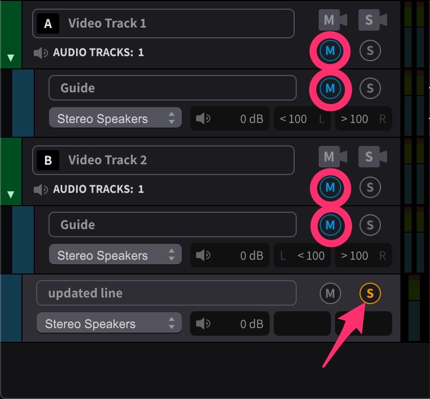 Soloed Audio Track